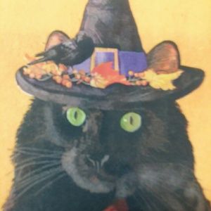 Meet your Posher, Bobbie sue